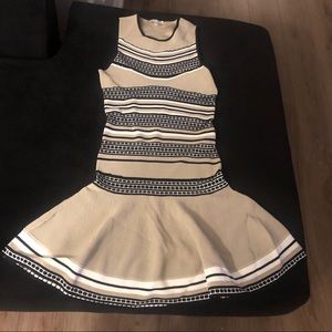 Ronny Kobo Collection Drop Waist Dress Sz S